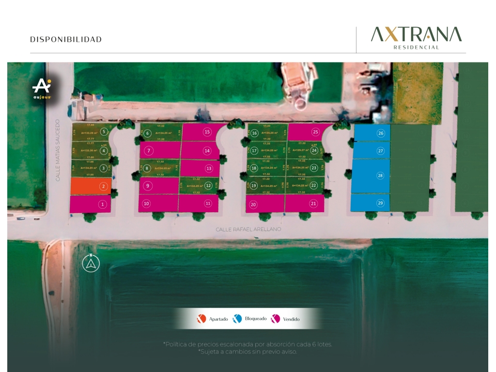 WhatsApp Image 2026-02-10 at 9.47.11 PM (2)