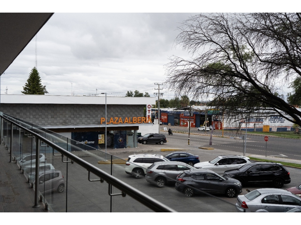 WhatsApp Image 2026-02-10 at 9.48.21 PM