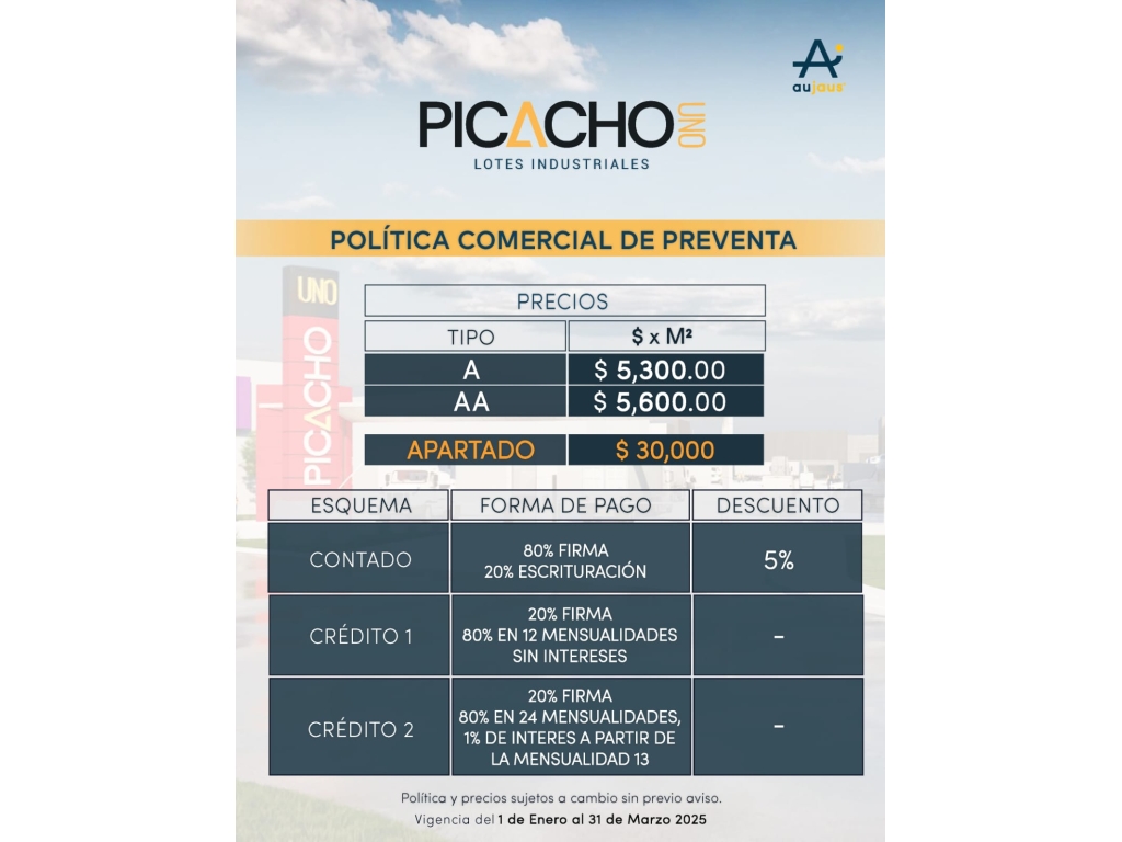 WhatsApp Image 2026-02-10 at 9.50.03 PM