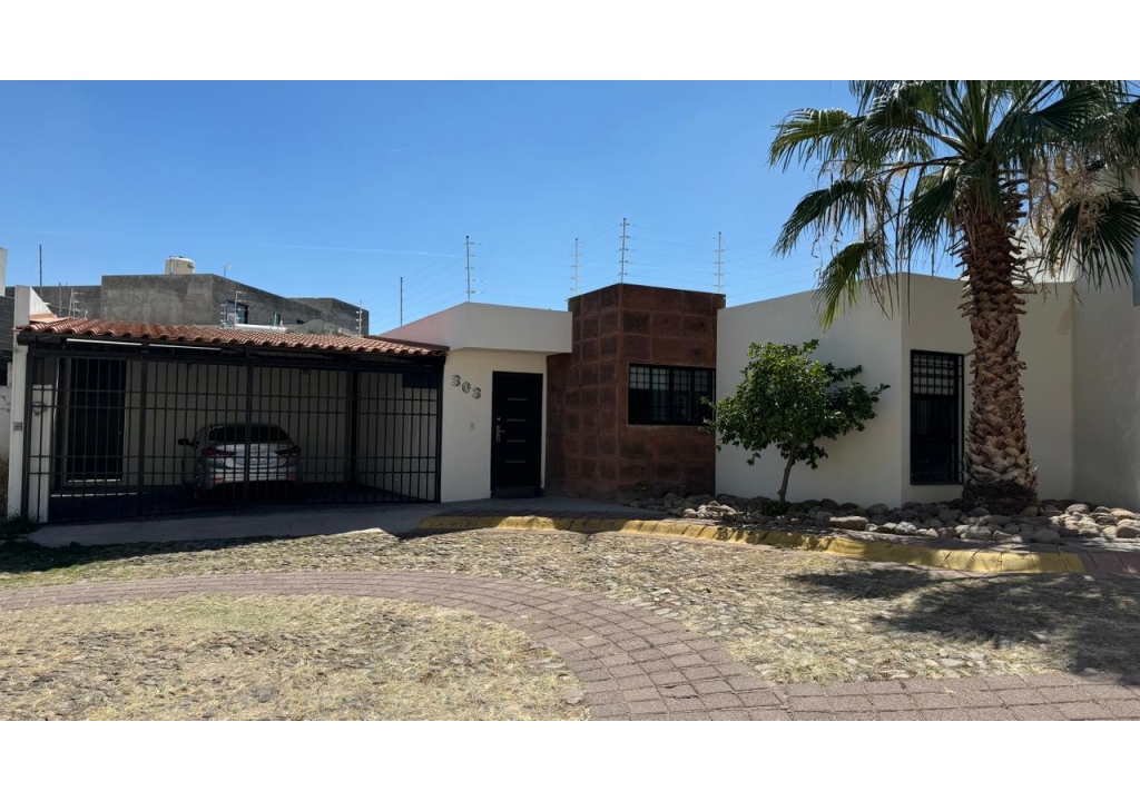 WhatsApp Image 2026-02-18 at 2.09.14 PM