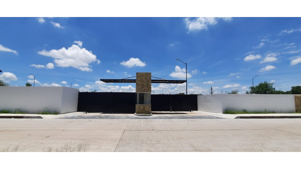 WhatsApp Image 2025-08-20 at 12.58.23 PM (1)